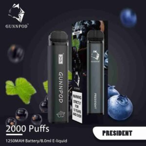 President Gunnpod 2000 Puffs Vape